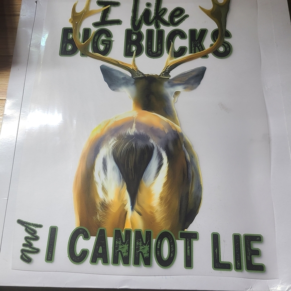 Funny Deer Hunting Shirt - "I Like Big Bucks" Graphic Tee - Outdoorsman Gift - Picture 4 of 13